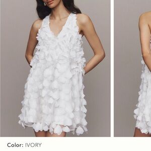 BHLDN Sleeveless 3D Floral V-neck Swing Mini Dress